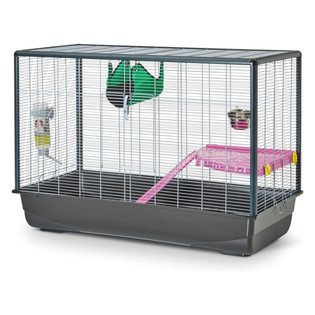 meilleure cage pour rat